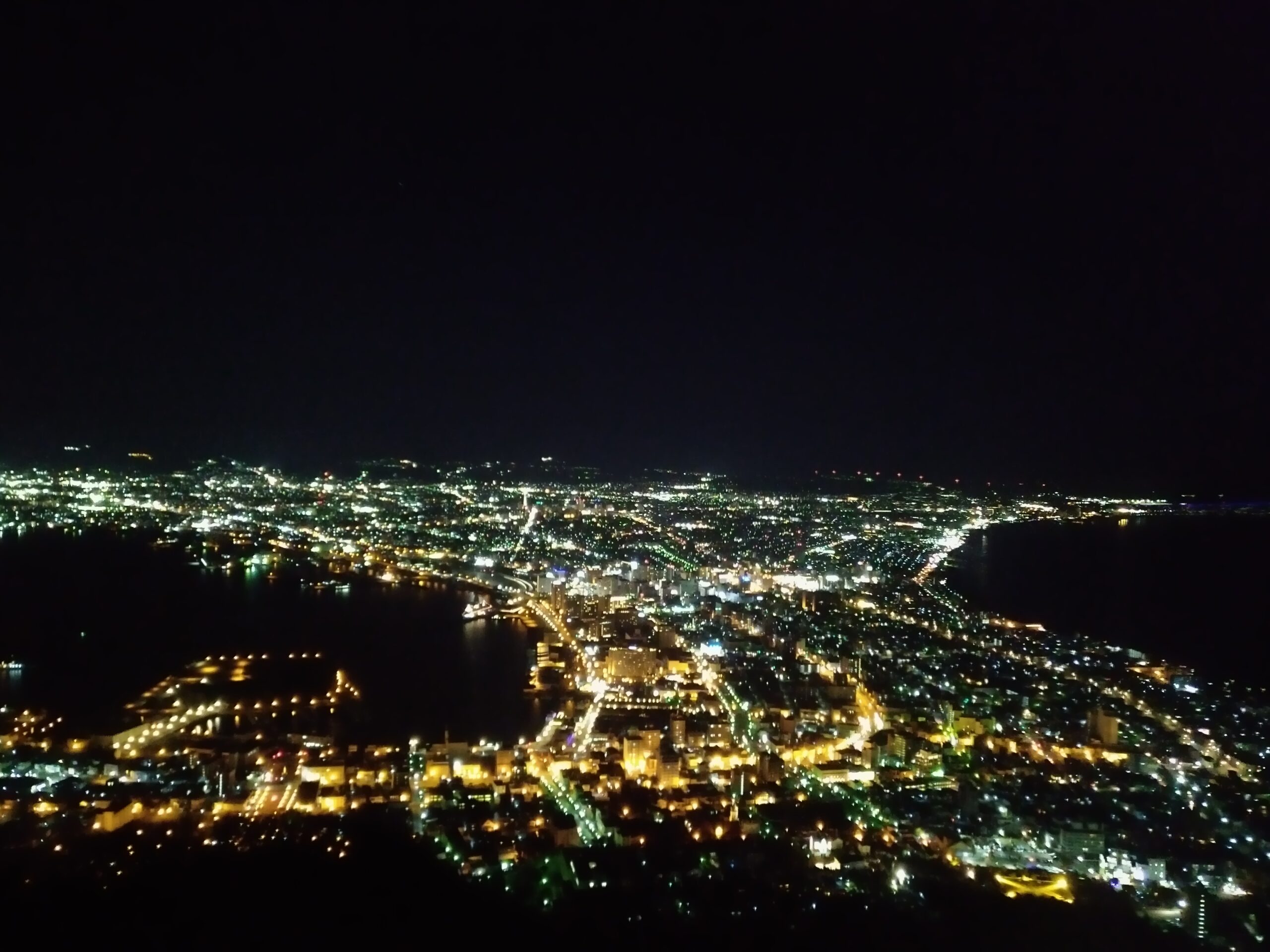 はまなすの裏夜景